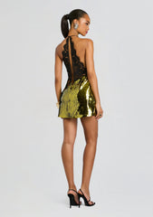 Edda Lace Embellished Dress