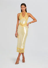 Vicky Sequin Lace Dress